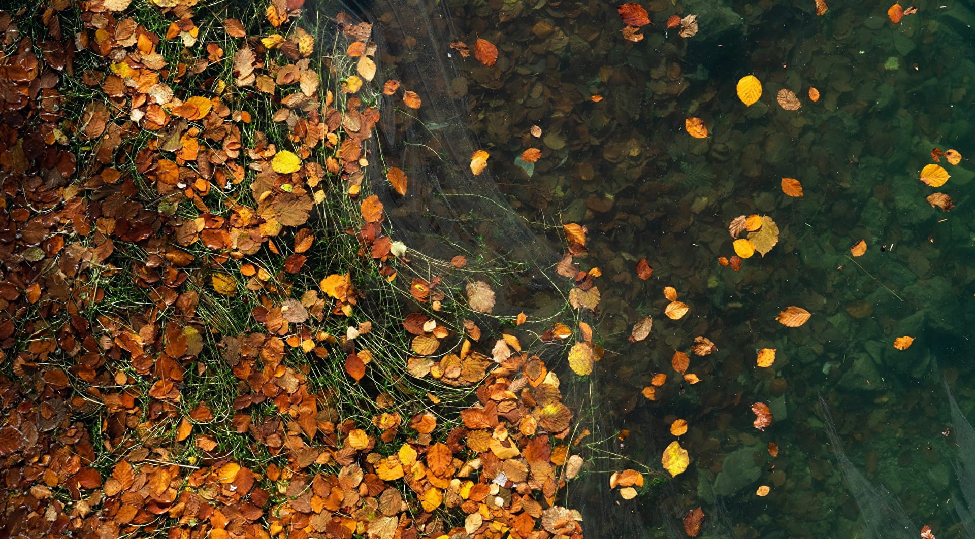 Observa los colores del otoño en los Pirineos